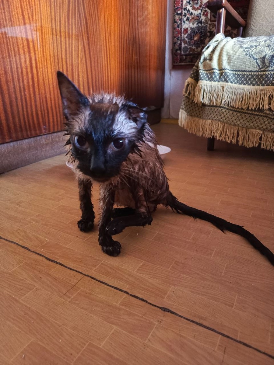 Елена Вагнер/VK