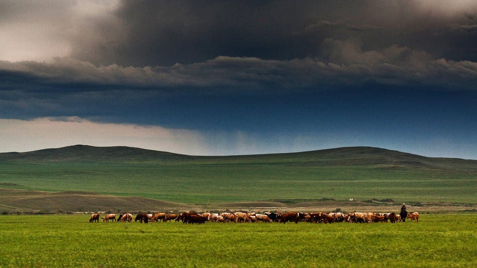 Фото: Евгений Курсков / Коммерсантъ
