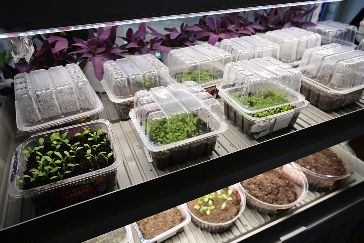 Фото: «Республика» / Сергей Юдин  📷
