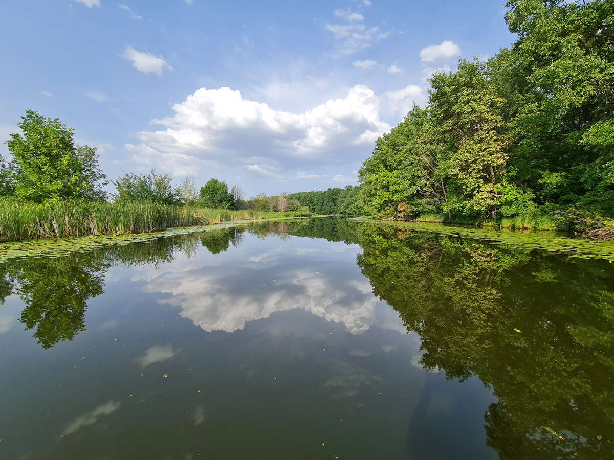 Волга. Фото автора