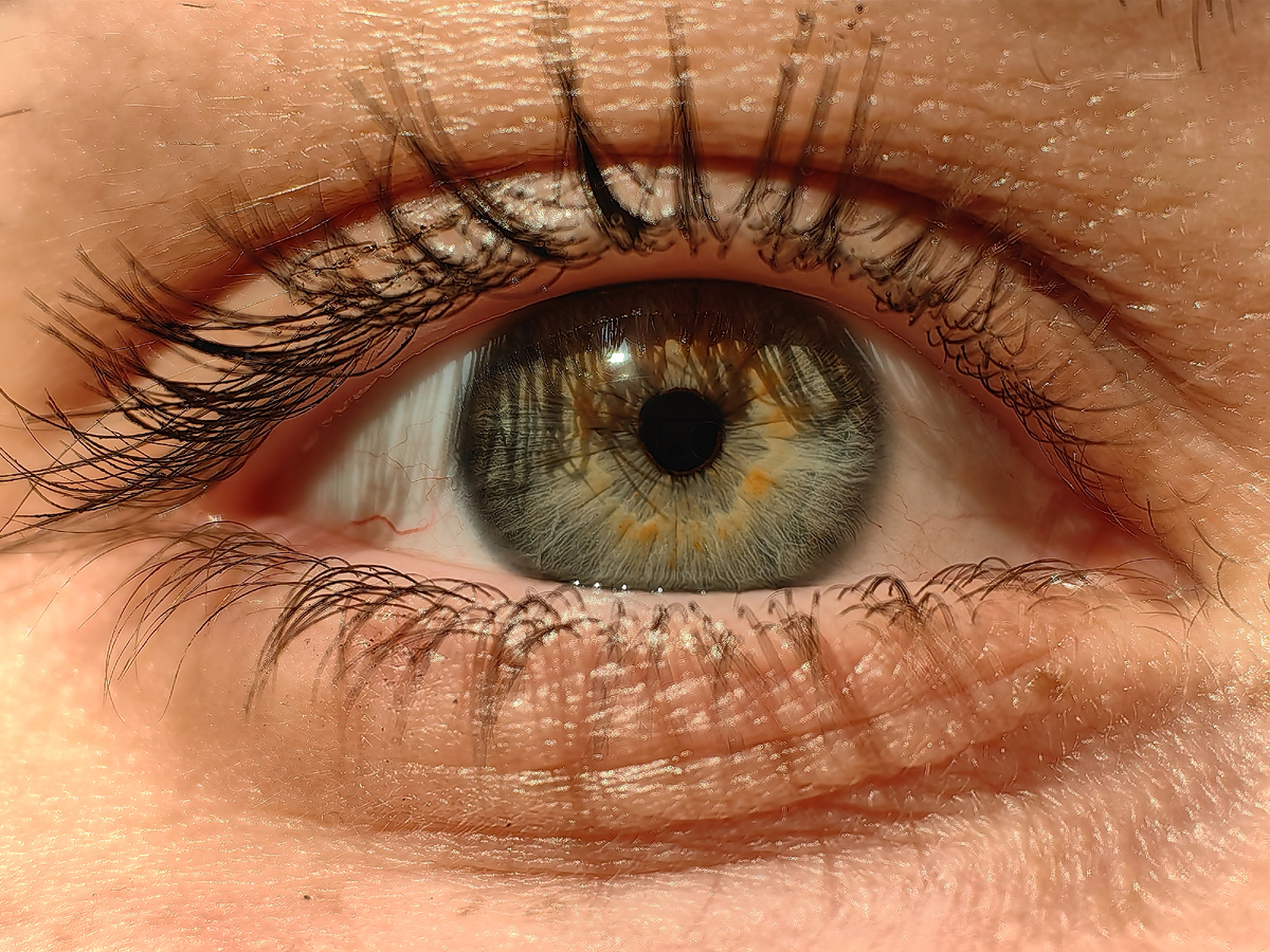 Фото из личного архива