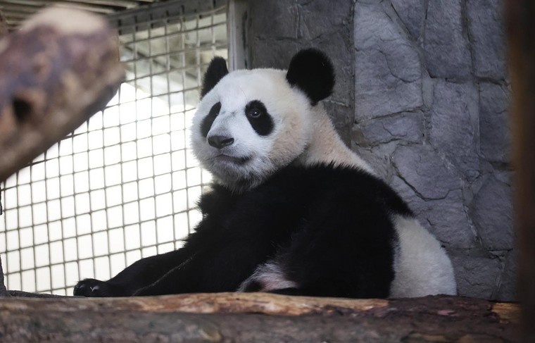    Алексей Белкин/NEWS.ru