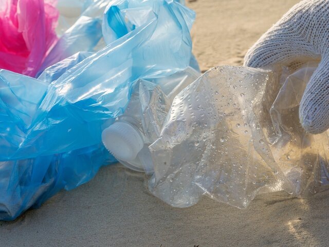    Фото: 123RF/123RF