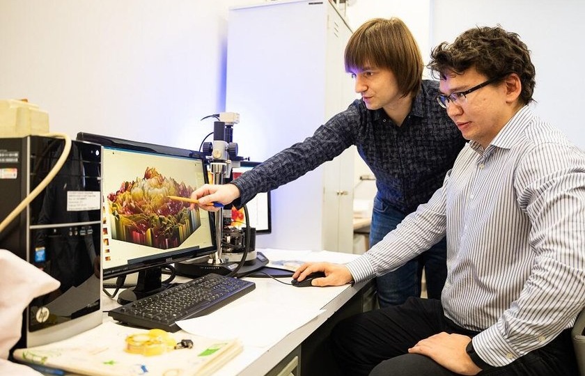 В России придумали замену редкоземельным магнитам