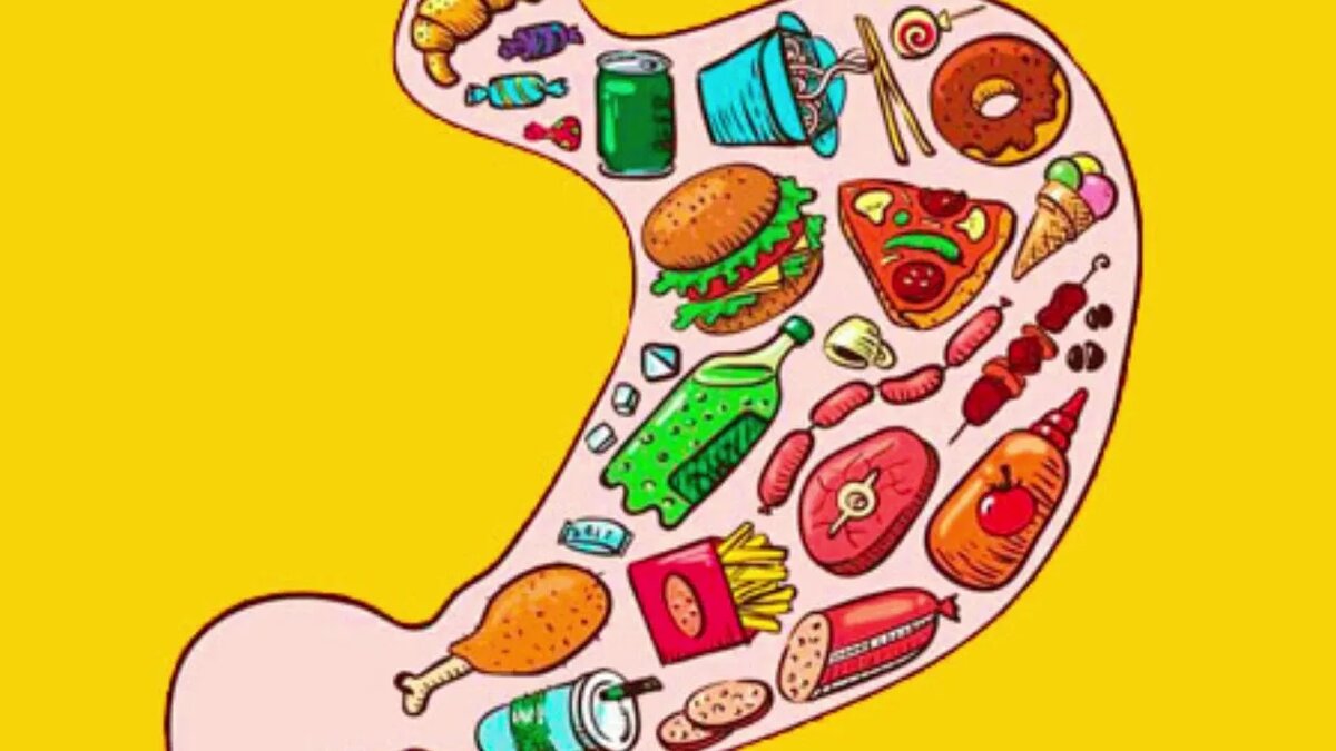 и как желудок все это изобилие терпит?