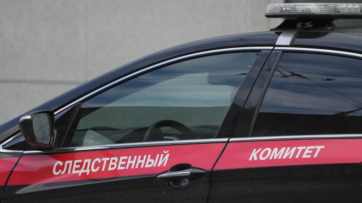    Фото: ИЗВЕСТИЯ/Дмитрий Коротаев