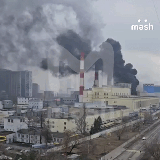    Видео: Telegram/@Mash