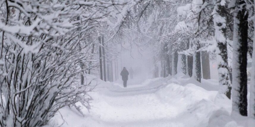    Алёна Бобрович