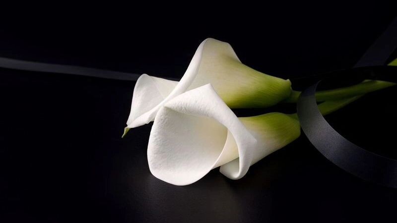    Фото: Marharyta M/Shutterstock/Fotodom