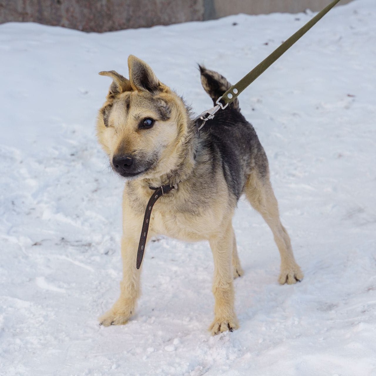 Наш особенный Юз