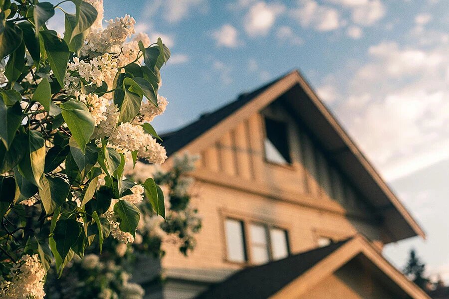    Фото: Devon MacKay / Unsplash.com