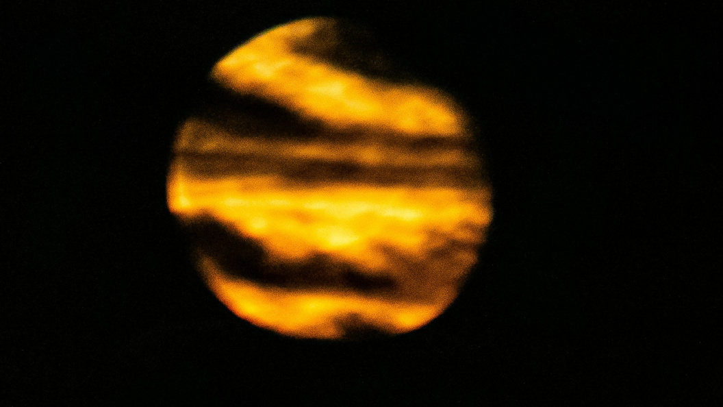    Роман Денисов/Global Look Press