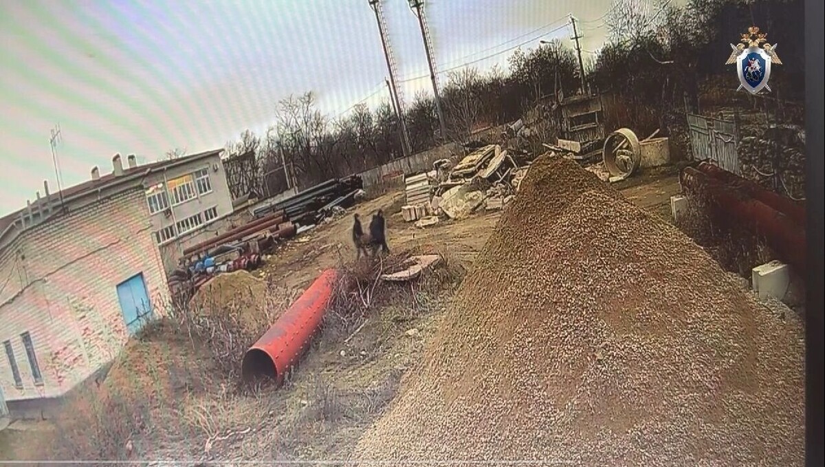     Автор: Следком по СК