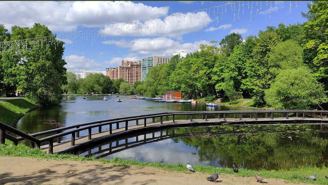 Правильно организованная прогулка может стать источником вдохновения, энергии и новых идей.