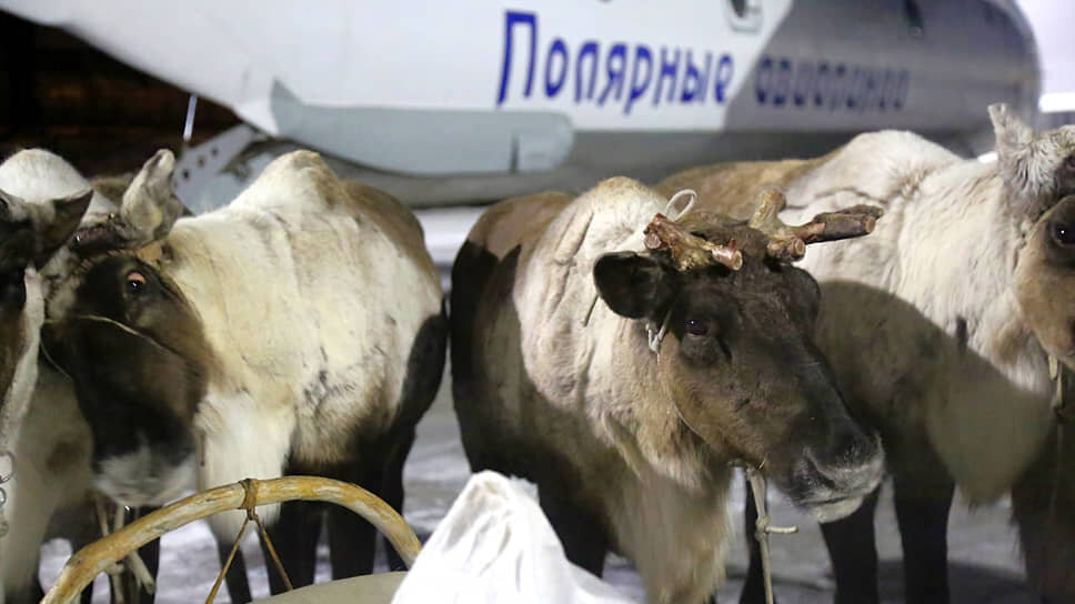 Фото: @yksaeroport