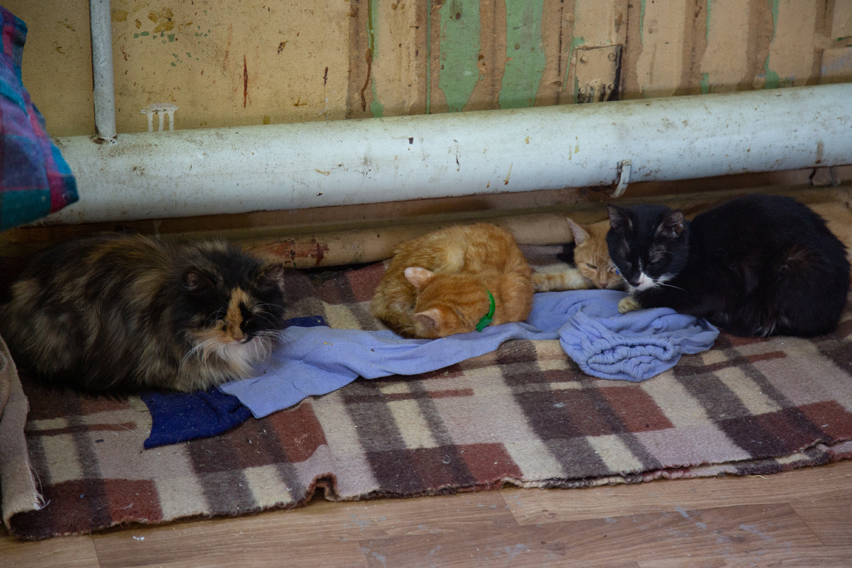 Автор: Первый Тульский, фото: архив