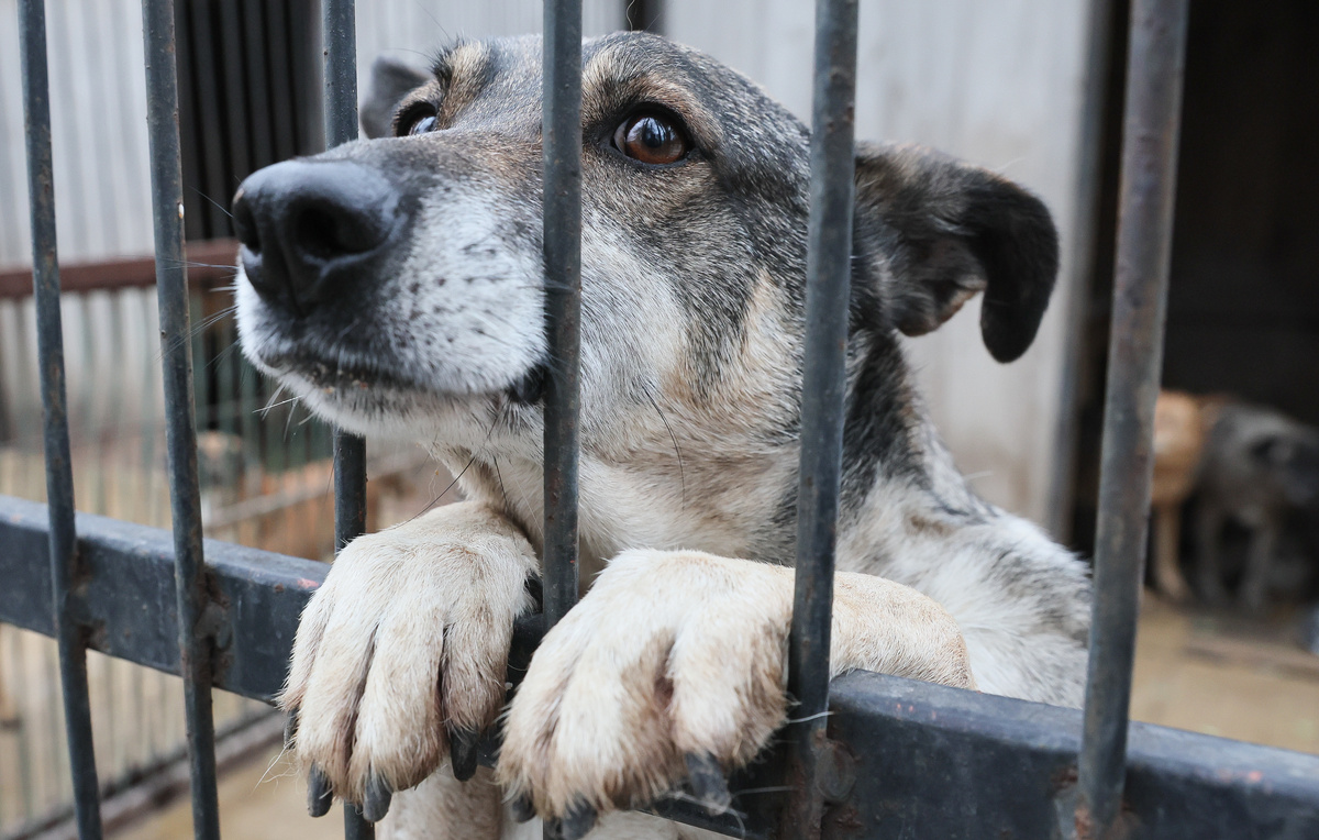 Дмитрий Ягодкин/ТАСС