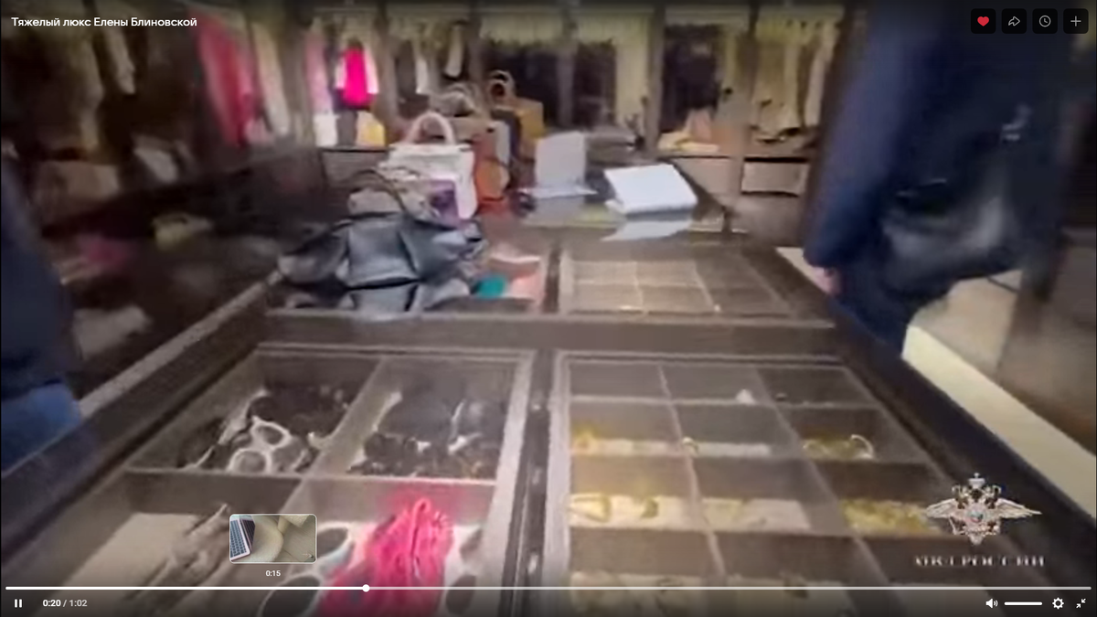 Скрин видео обыска в доме Блиновской. Золотые россыпи.