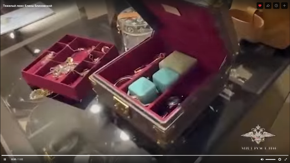 Скрин видео обыска дома Блиновской  Золотохранилище.
