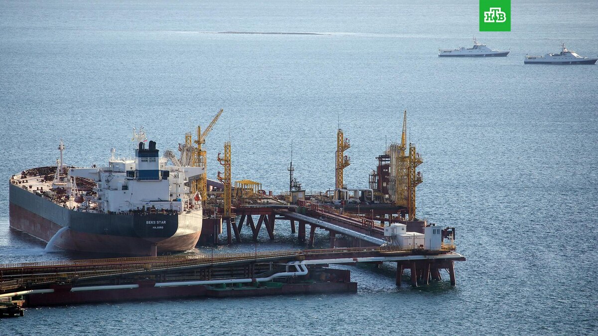    Фото: РИА Новости © 2025, Виталий Тимкив