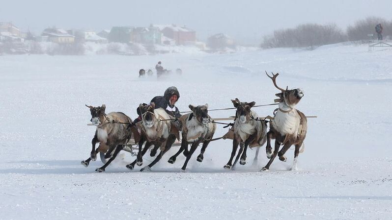    Фото: Андрей Ткачев/«Ямал-Медиа»