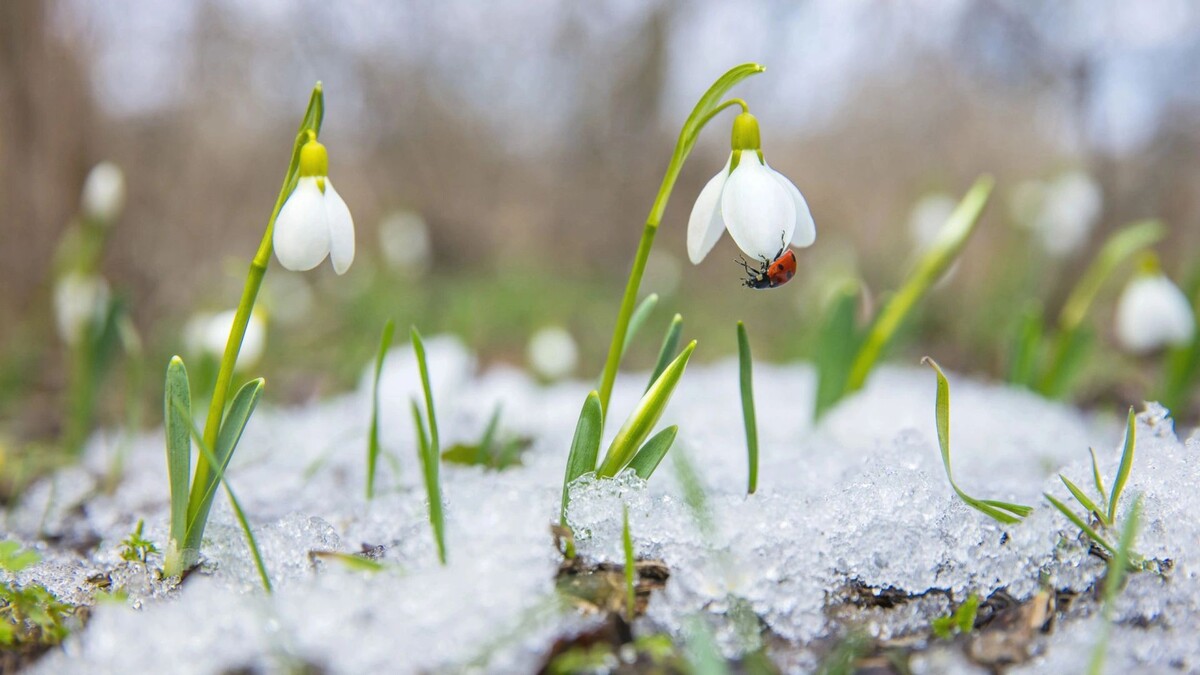    Фото: Sergej Onyshko/Shutterstock/Fotodom