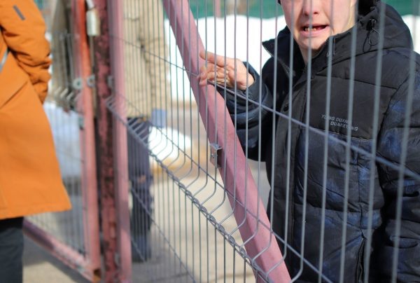 «От ПНИ не застрахован никто»: как меняется система психоневрологических интернатов Нижегородской области  📷
