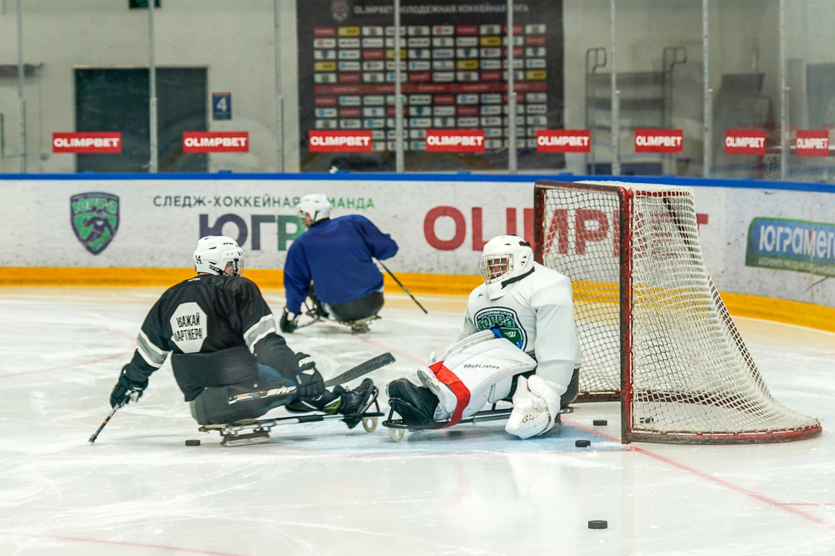    Открытие Кубка защитника Отечества можно увидеть онлайн