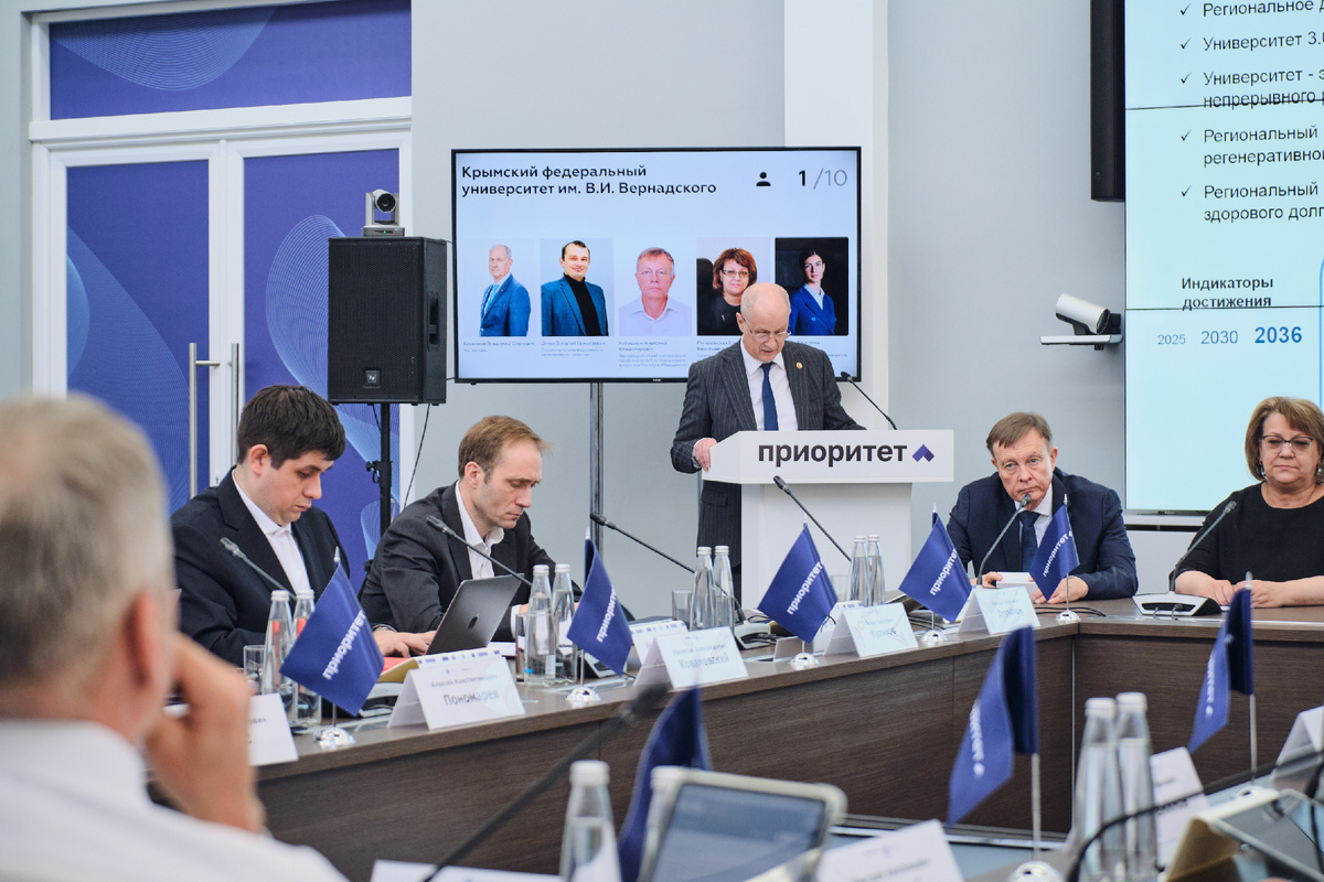 Владимир Курьянов на защите программы развития 