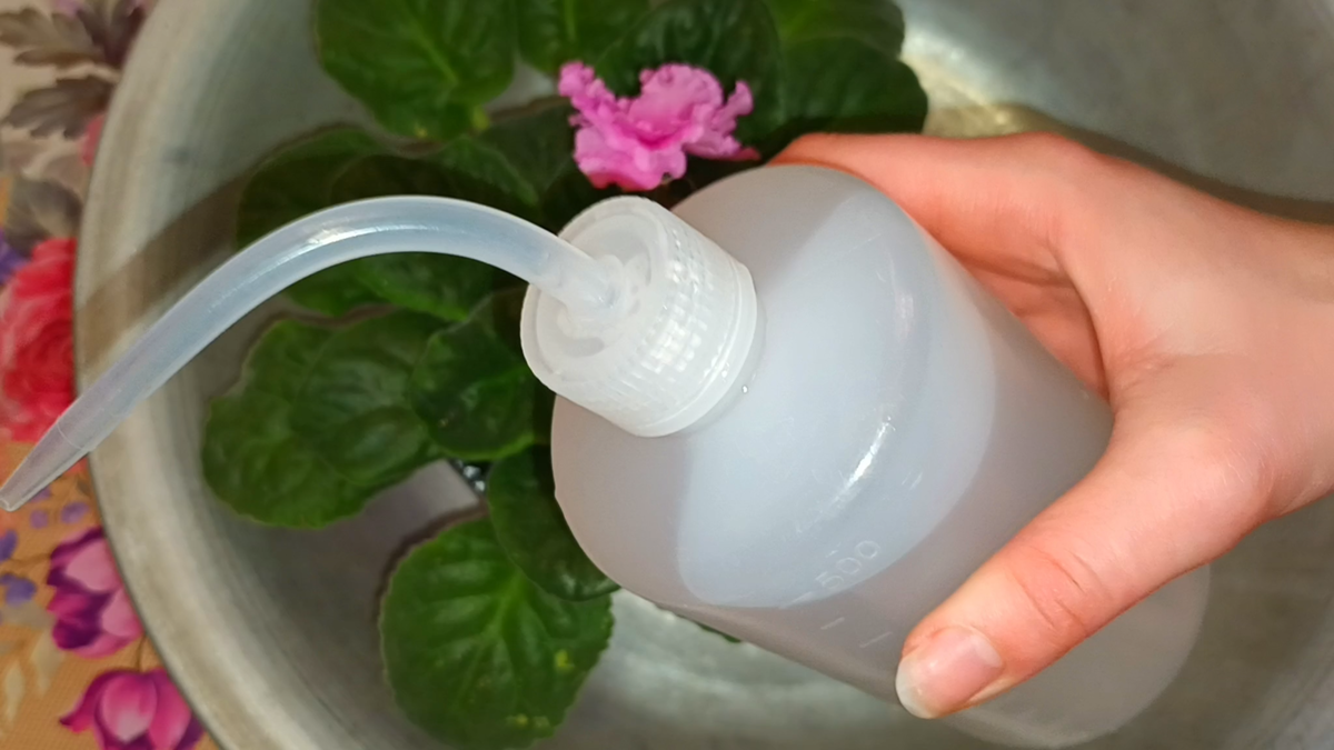 Наша бутылочка