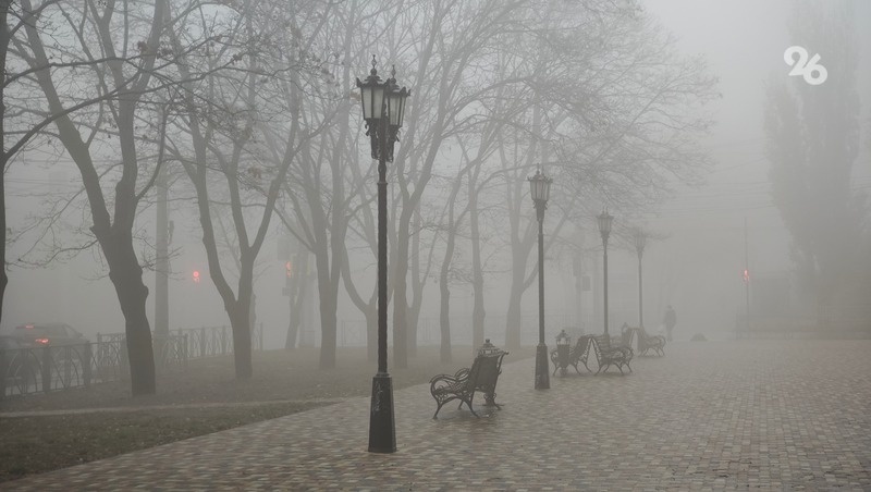      Фото: Дмитрий Ахмадуллин / / ИА «Победа26»