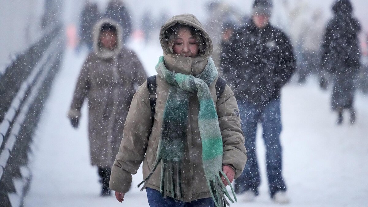    Фото: ИЗВЕСТИЯ/Дмитрий Коротаев