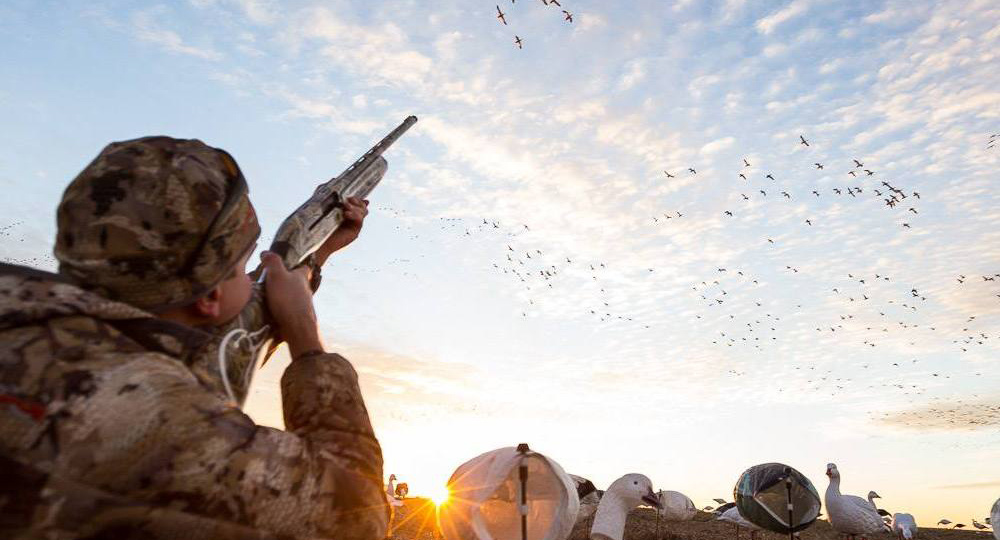Что взять с собой на охоту на гуся