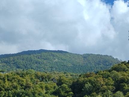 Фотография из личного архива автора