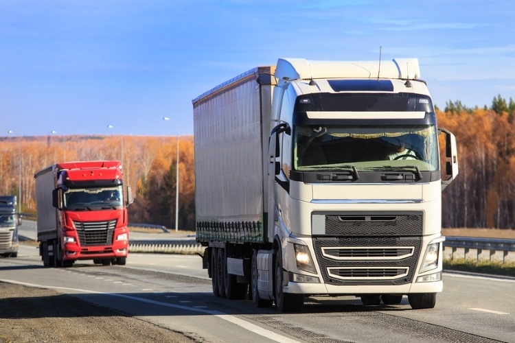 Фото: © Юрий Бизгаймер / Фотобанк Лори