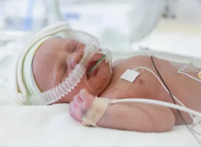 Картинка из открытых источников интернета