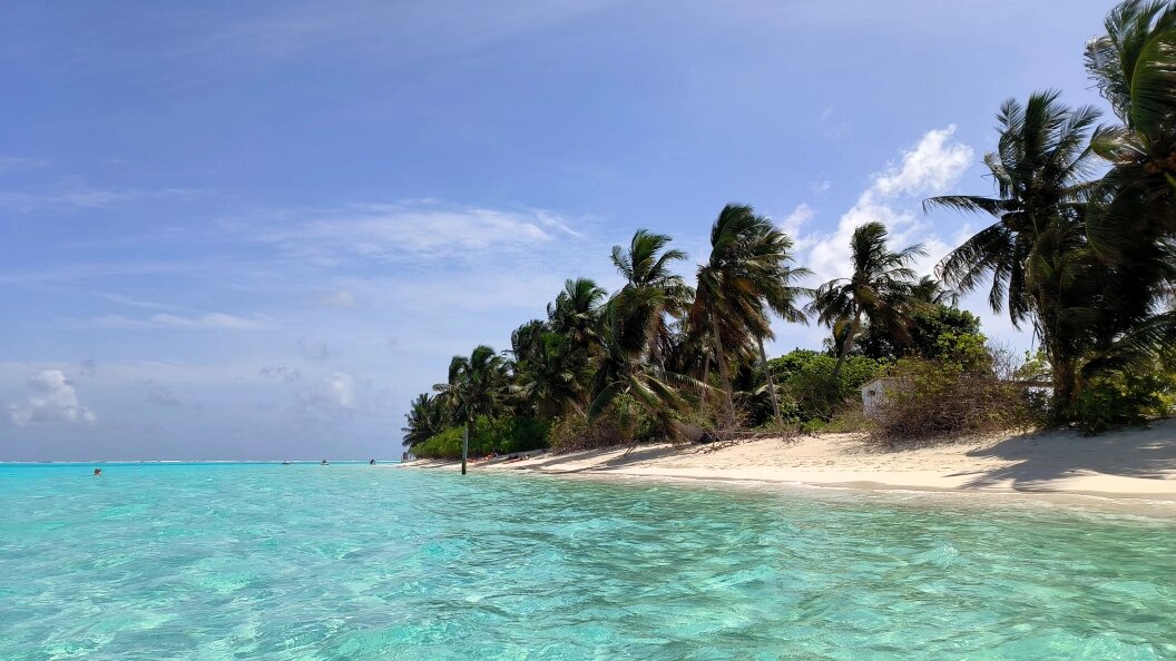    Фото: Maksim Konstantinov/Global Look Press/Globallookpress