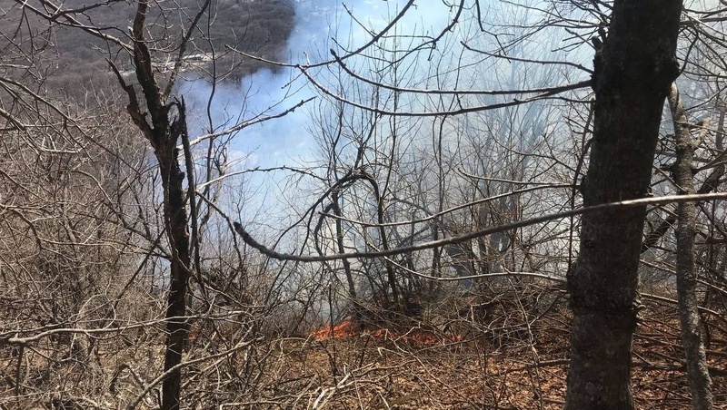      Фото: соцсети Евгения Бакулина