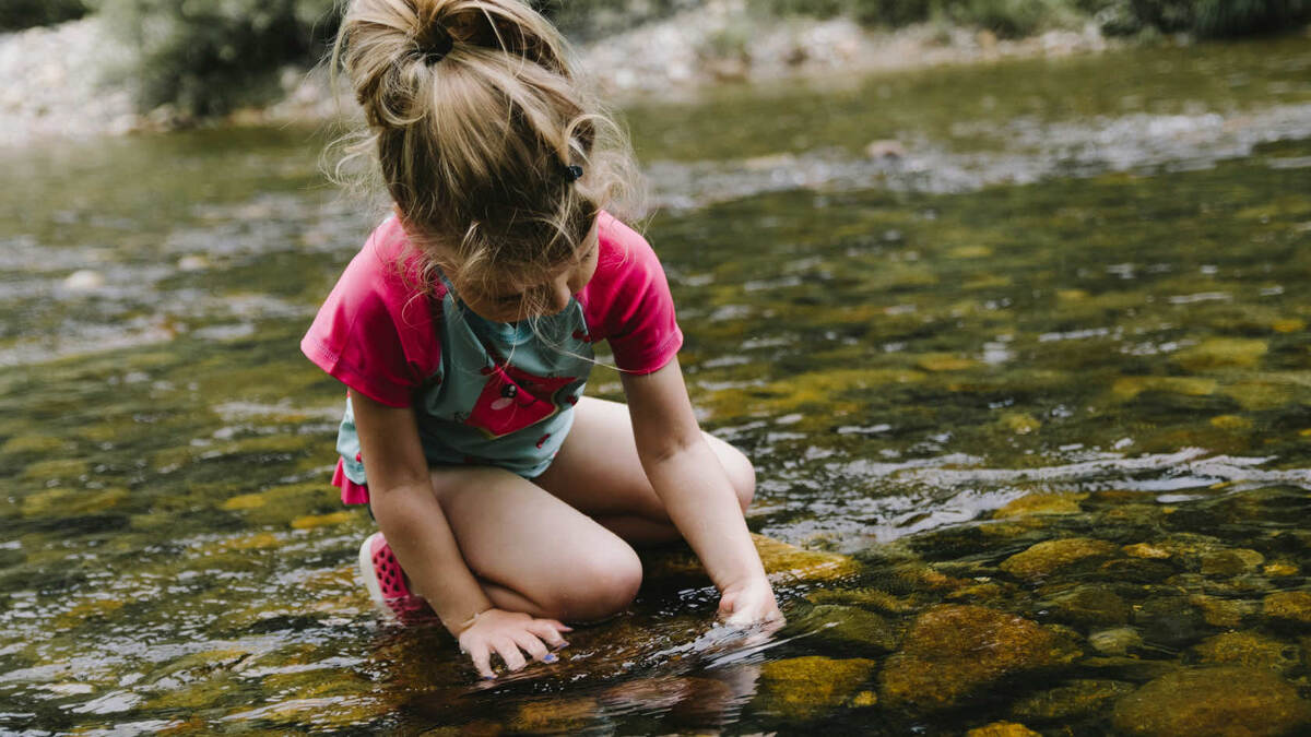 В лесу много всего интересного для детей