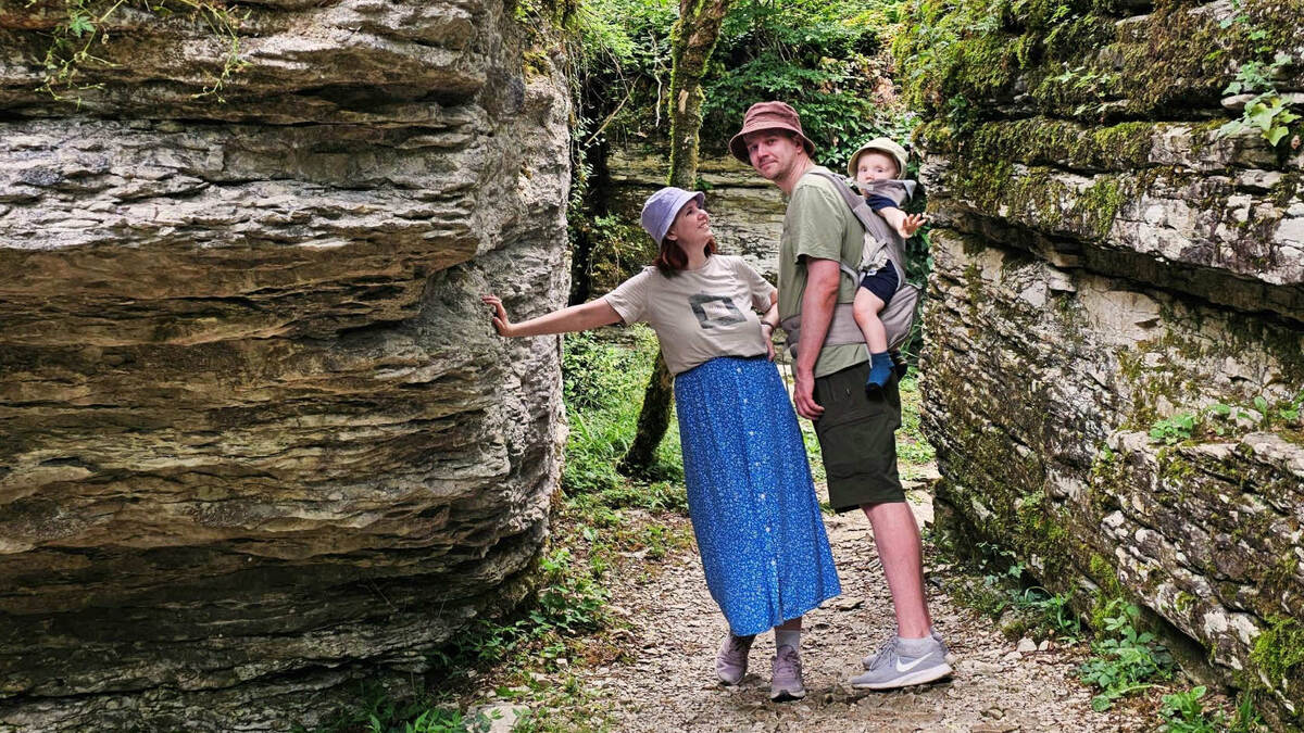 Семейные лесные прогулки доступны для самых маленьких