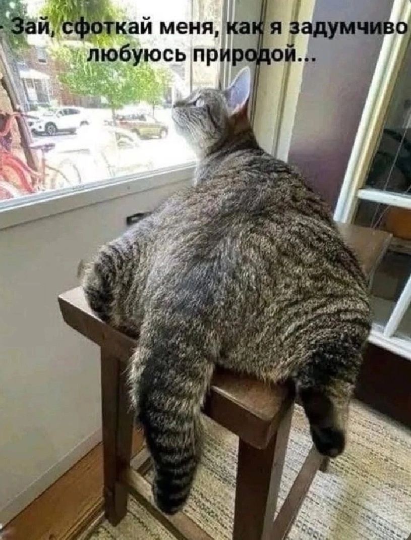 иллюстрация из яндекс картинки.