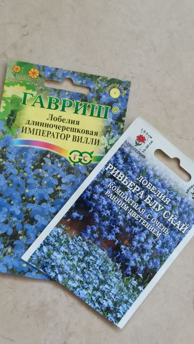 Оба сорта взошли отлично. 