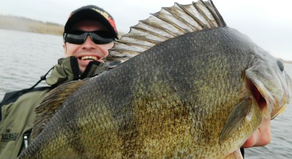 из открытых источников