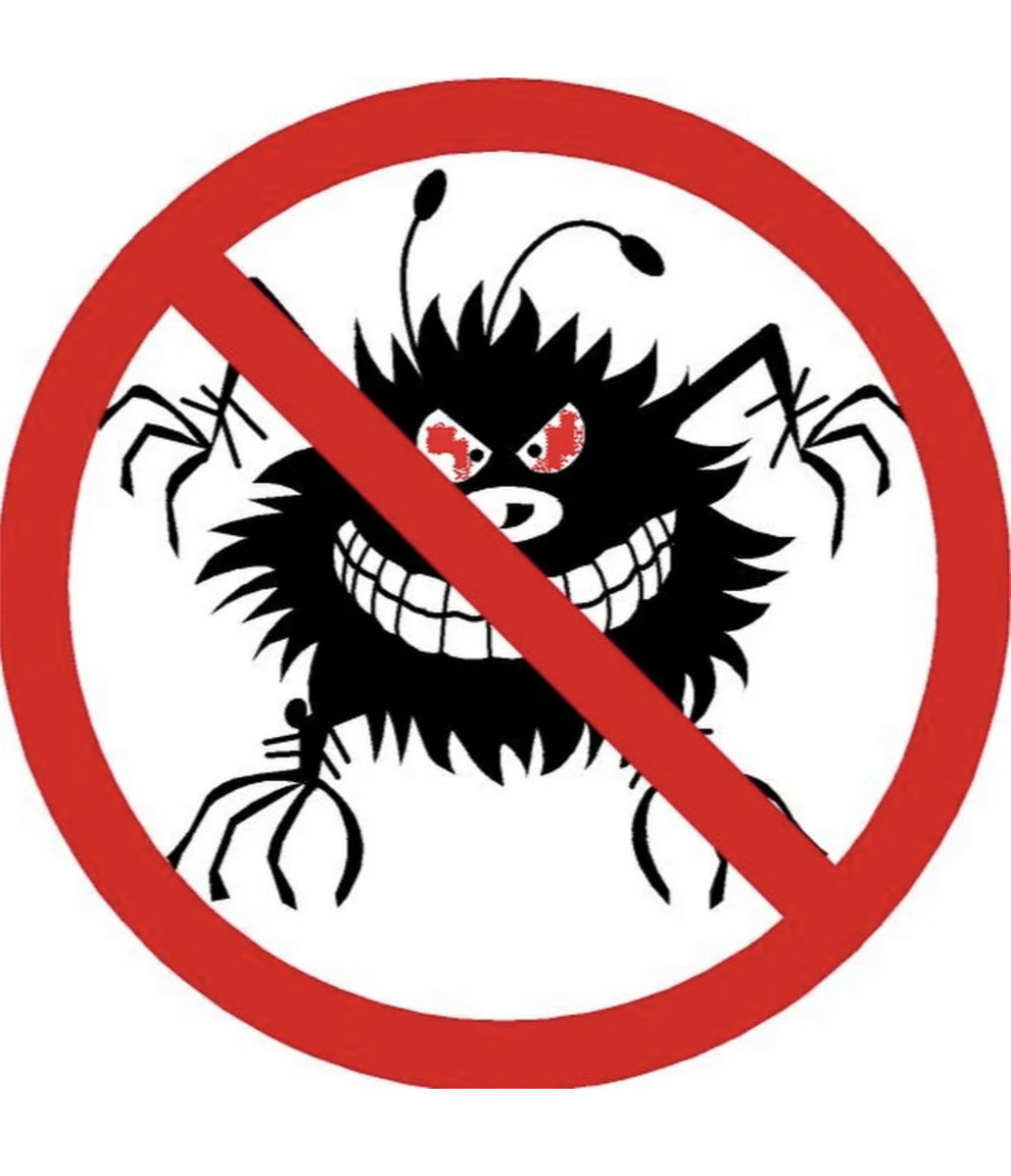 Картинка из интернета