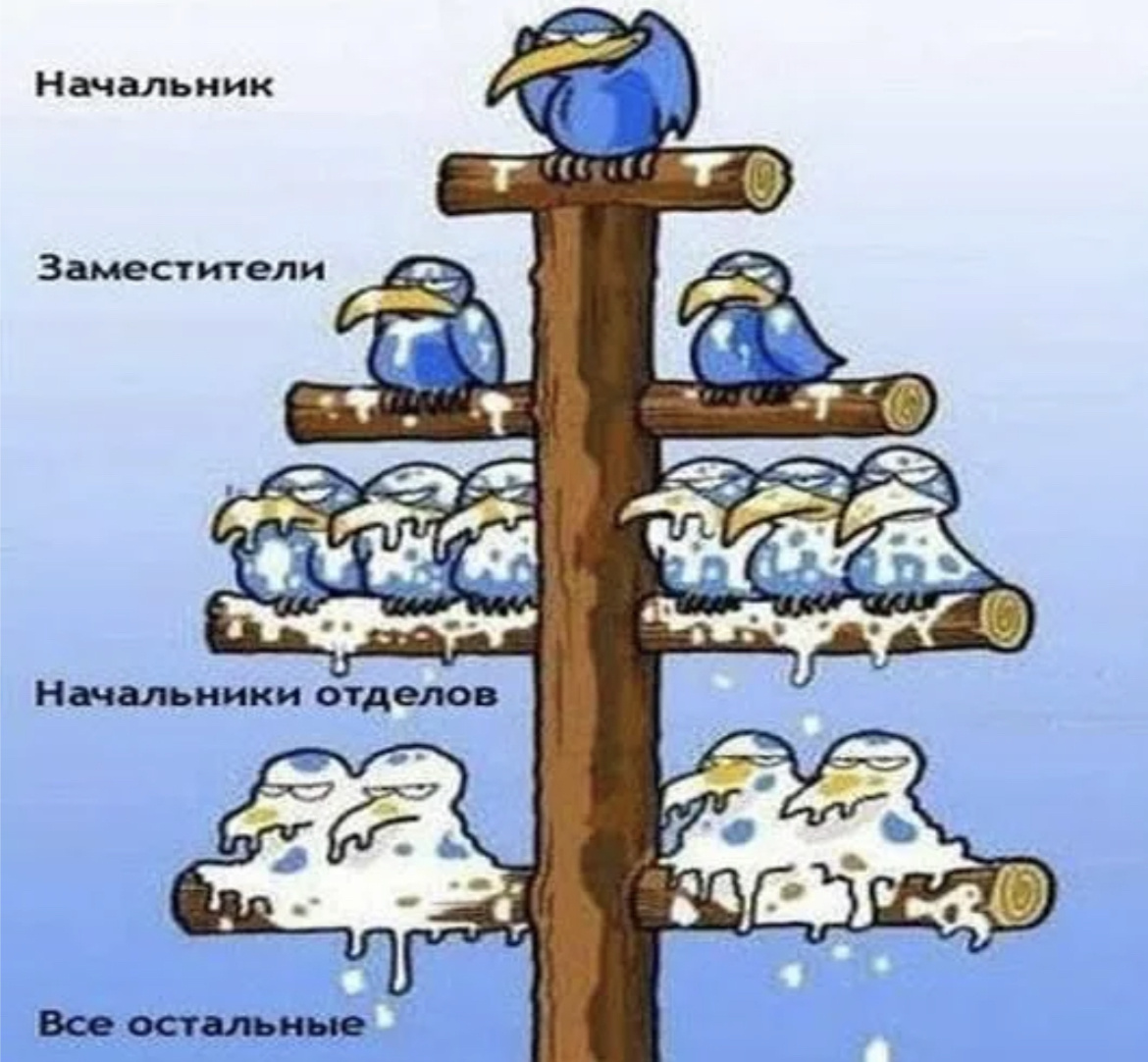 Картинка из интернета