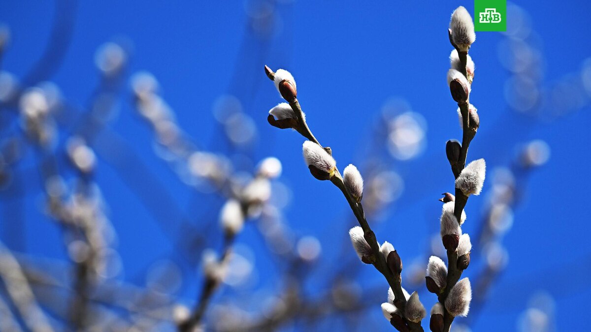    Фото: РИА Новости © 2025, Пелагия Тихонова