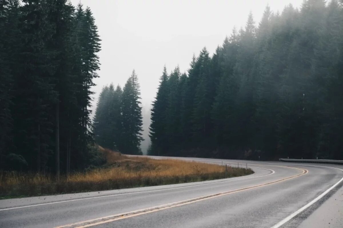    На ремонт воронежских дорог выделят еще 5 млрд рублей