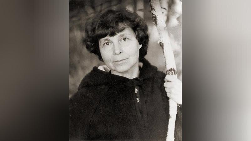 Фото: wikimedia.org/Dmitri N. Smirnov; CC BY 2.5