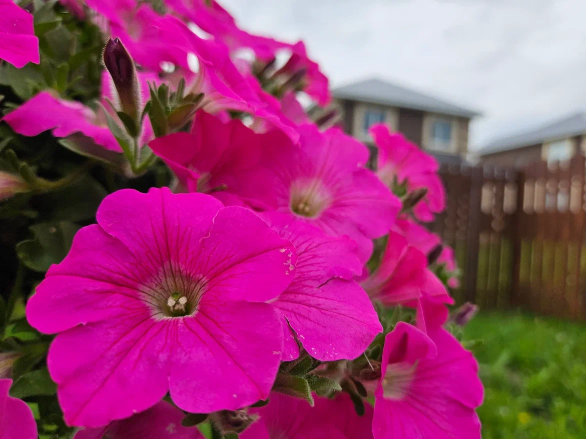 Кто такое не любит?