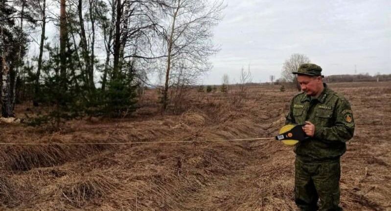    Комитет лесного хозяйства Московской области
